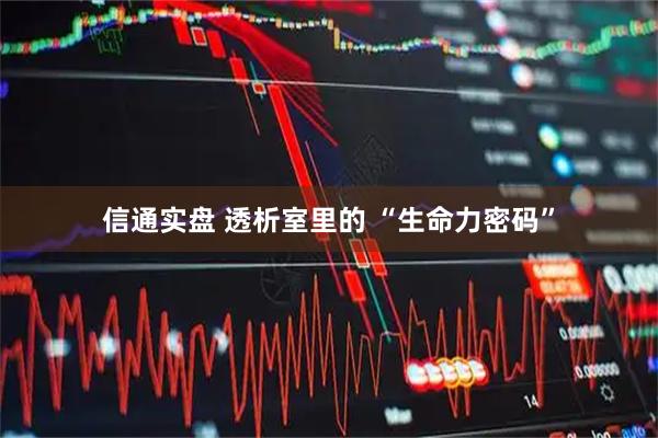 信通实盘 透析室里的 “生命力密码”
