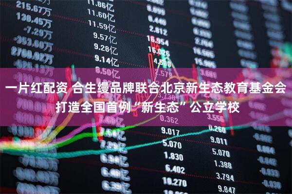 一片红配资 合生缦品牌联合北京新生态教育基金会 打造全国首例“新生态”公立学校