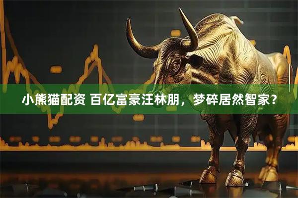 小熊猫配资 百亿富豪汪林朋，梦碎居然智家？