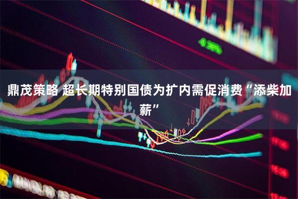 鼎茂策略 超长期特别国债为扩内需促消费“添柴加薪”