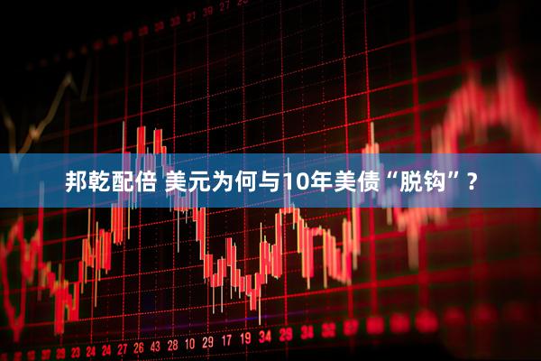 邦乾配倍 美元为何与10年美债“脱钩”？