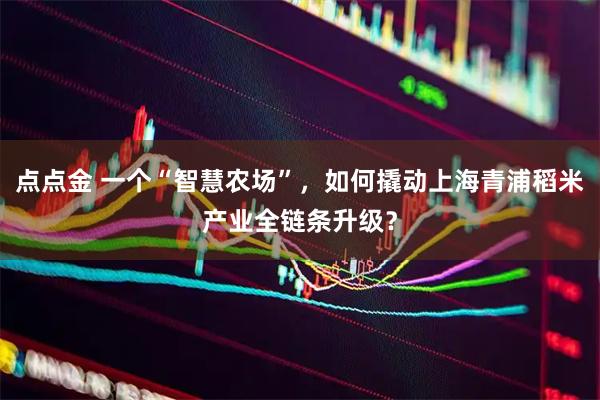 点点金 一个“智慧农场”，如何撬动上海青浦稻米产业全链条升级？