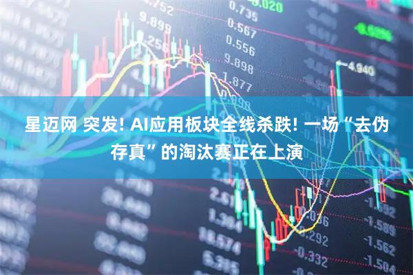 星迈网 突发! AI应用板块全线杀跌! 一场“去伪存真”的淘汰赛正在上演