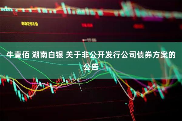 牛壹佰 湖南白银 关于非公开发行公司债券方案的公告
