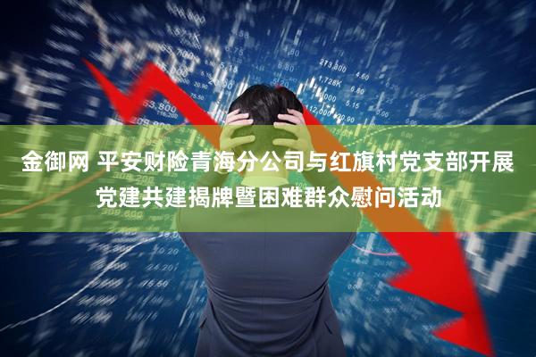 金御网 平安财险青海分公司与红旗村党支部开展党建共建揭牌暨困难群众慰问活动