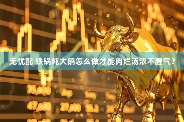 无忧配 铁锅炖大鹅怎么做才能肉烂汤浓不腥气？