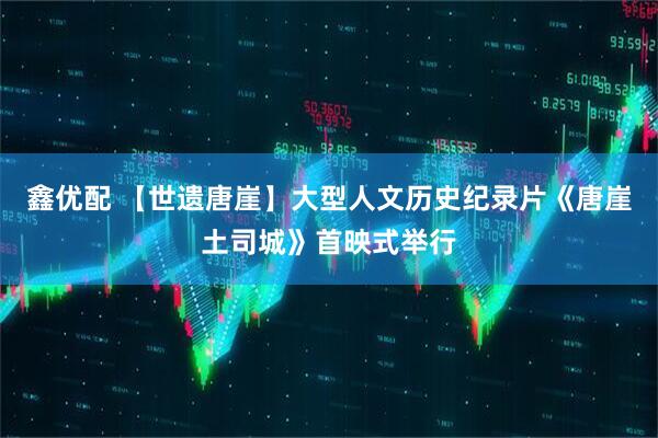 鑫优配 【世遗唐崖】大型人文历史纪录片《唐崖土司城》首映式举行