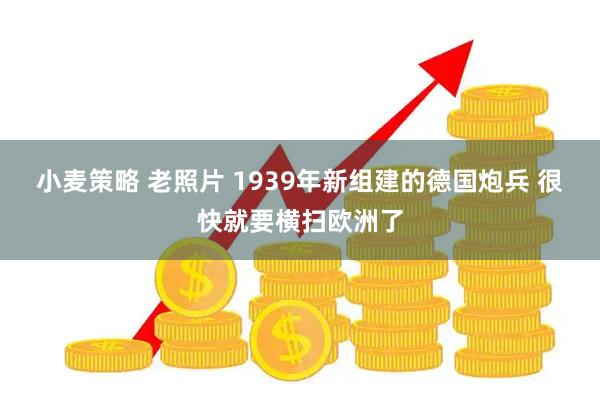 小麦策略 老照片 1939年新组建的德国炮兵 很快就要横扫欧洲了